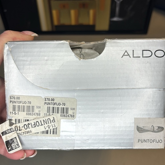 ALDO | Puntofijo Ballet Flats in Iridescent White/Cream - Picture 5 of 5